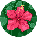 Mimi Li profile picture