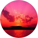 Alexis Parenty profile picture